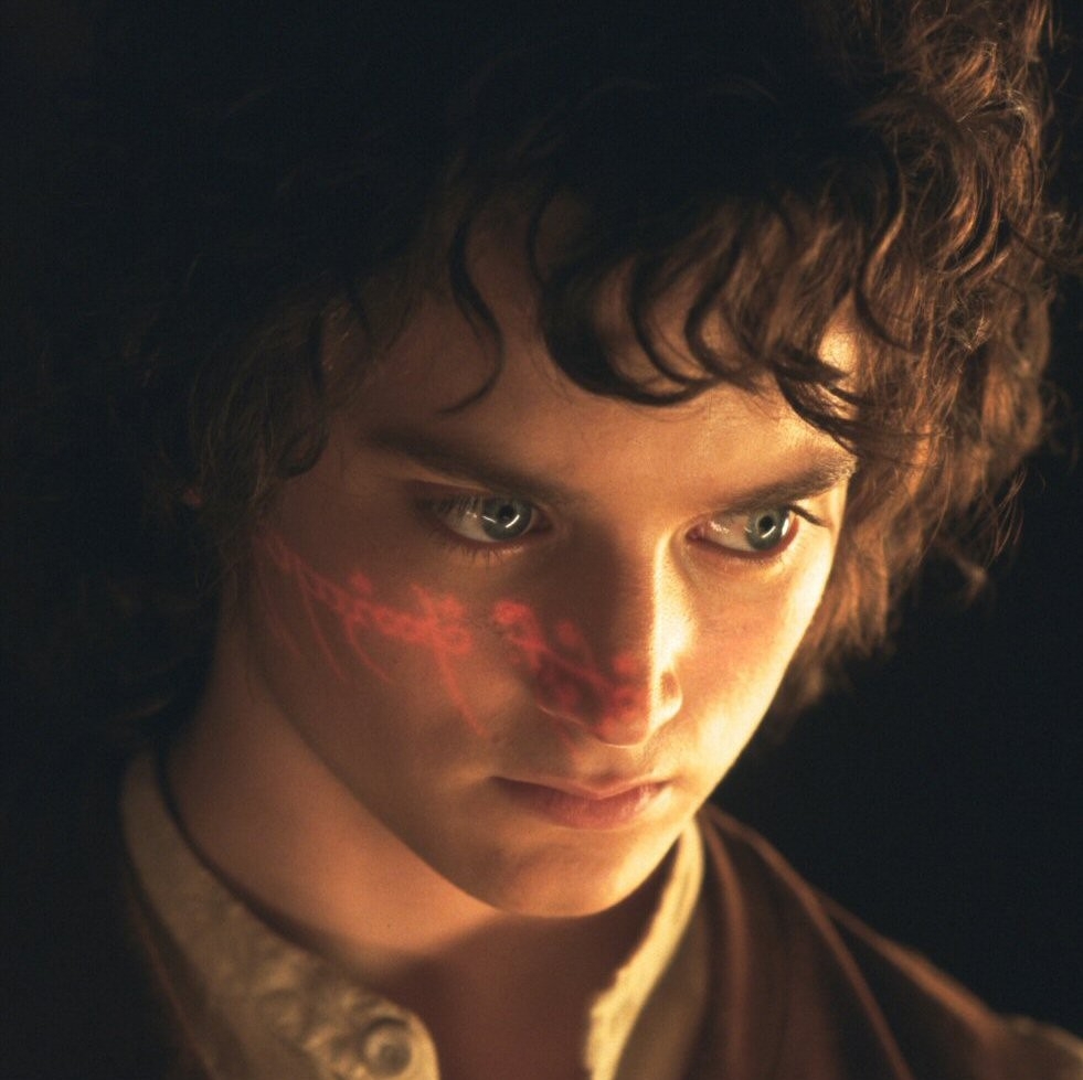 Chi è Frodo Baggins?