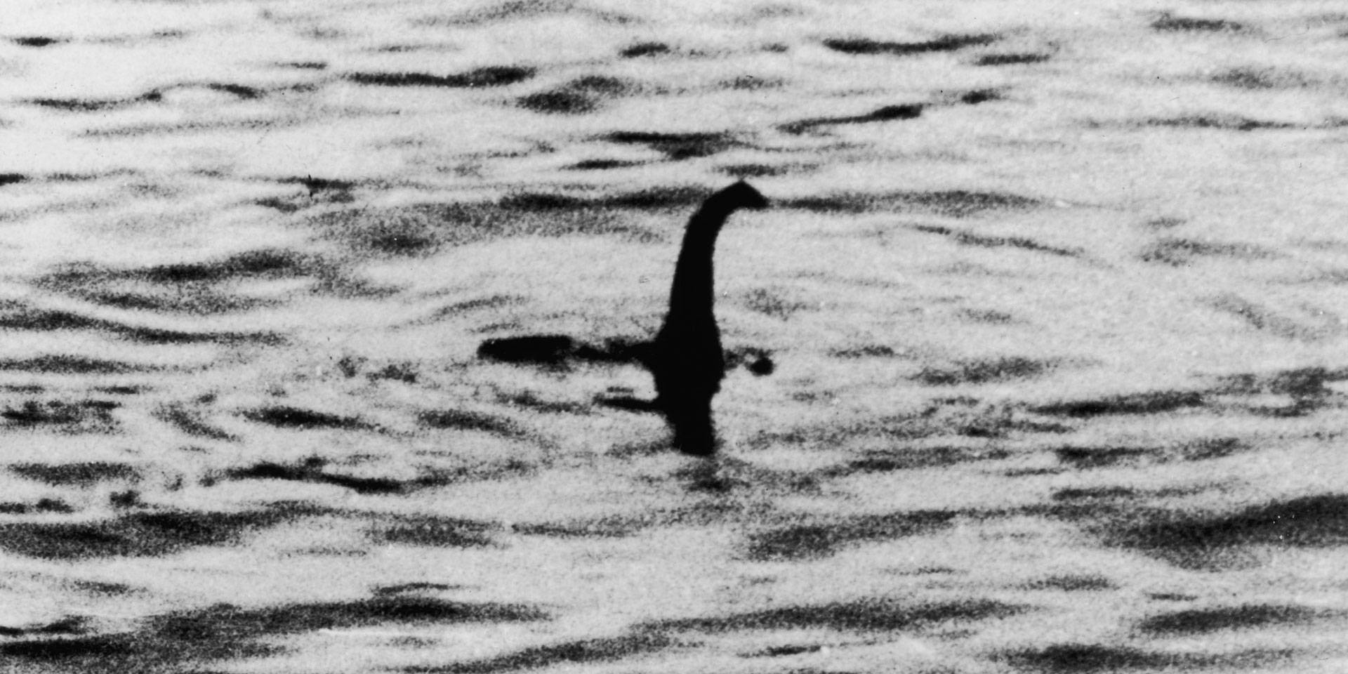 Il mostro di Loch Ness compie 90 anni: il più grande ritrovo di appassionati di sempre