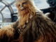 Chewbacca: il tenero guerriero di Star Wars