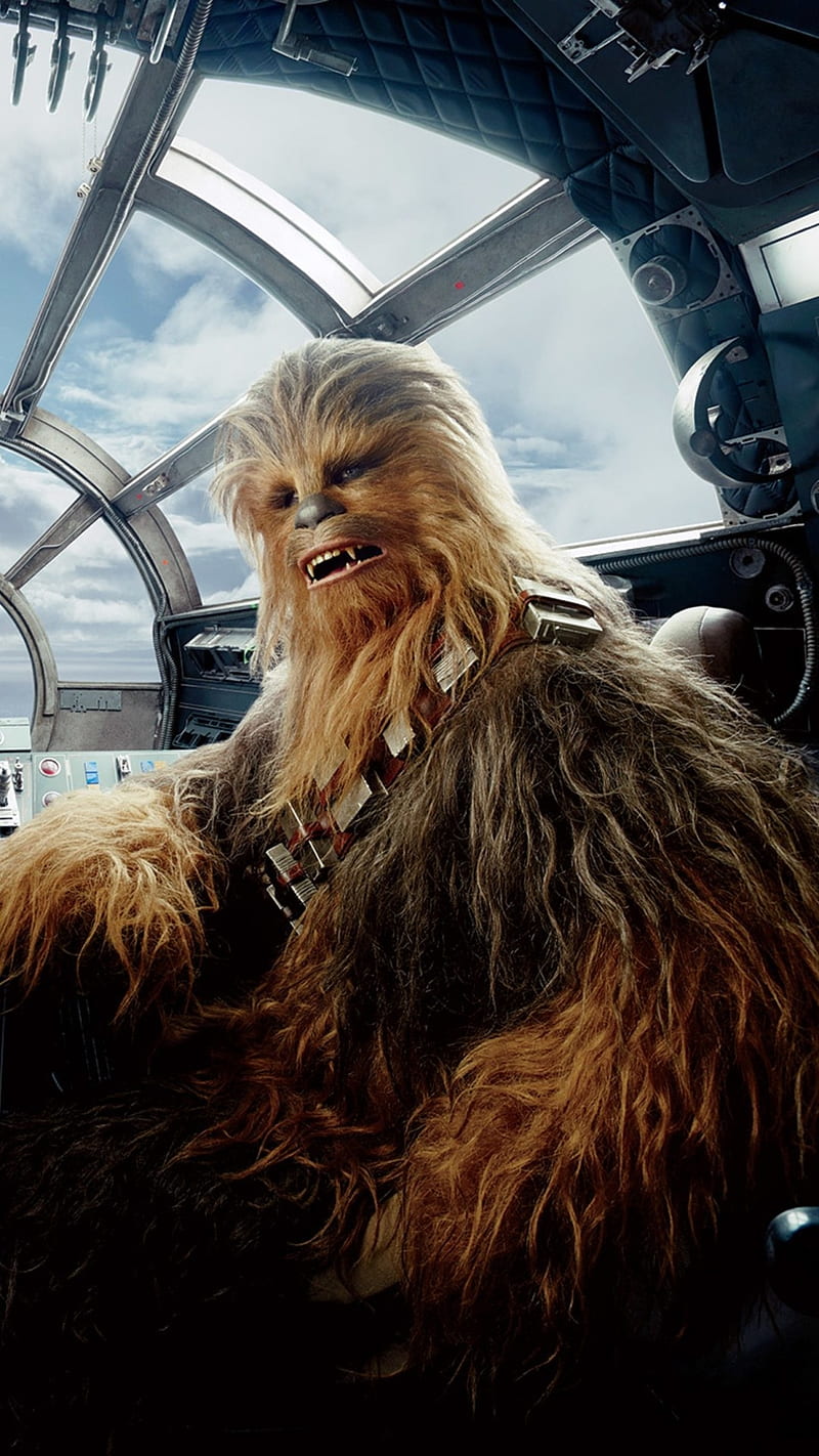Chewbacca: il tenero guerriero di Star Wars