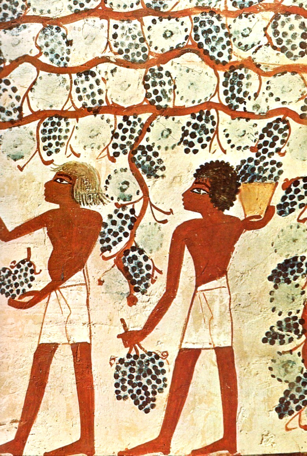 Gli Egizi ed il vino