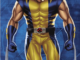 Chi è Wolverine?