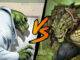 Lizard (Marvel) vs Killer Croc (DC Comics)
