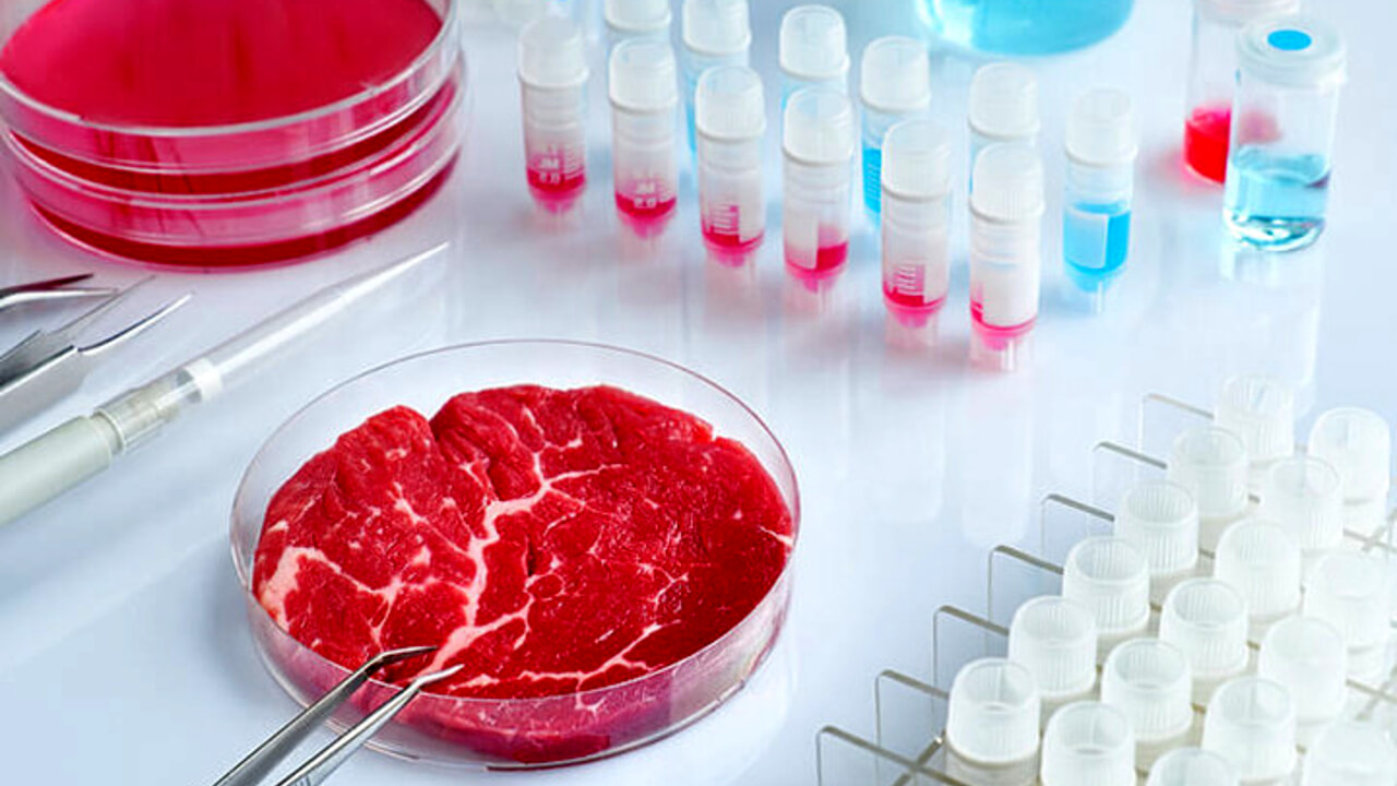Carne sintetica: una rivoluzione con investimenti miliardari