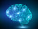 Il cervello umano: il più potente computer esistente