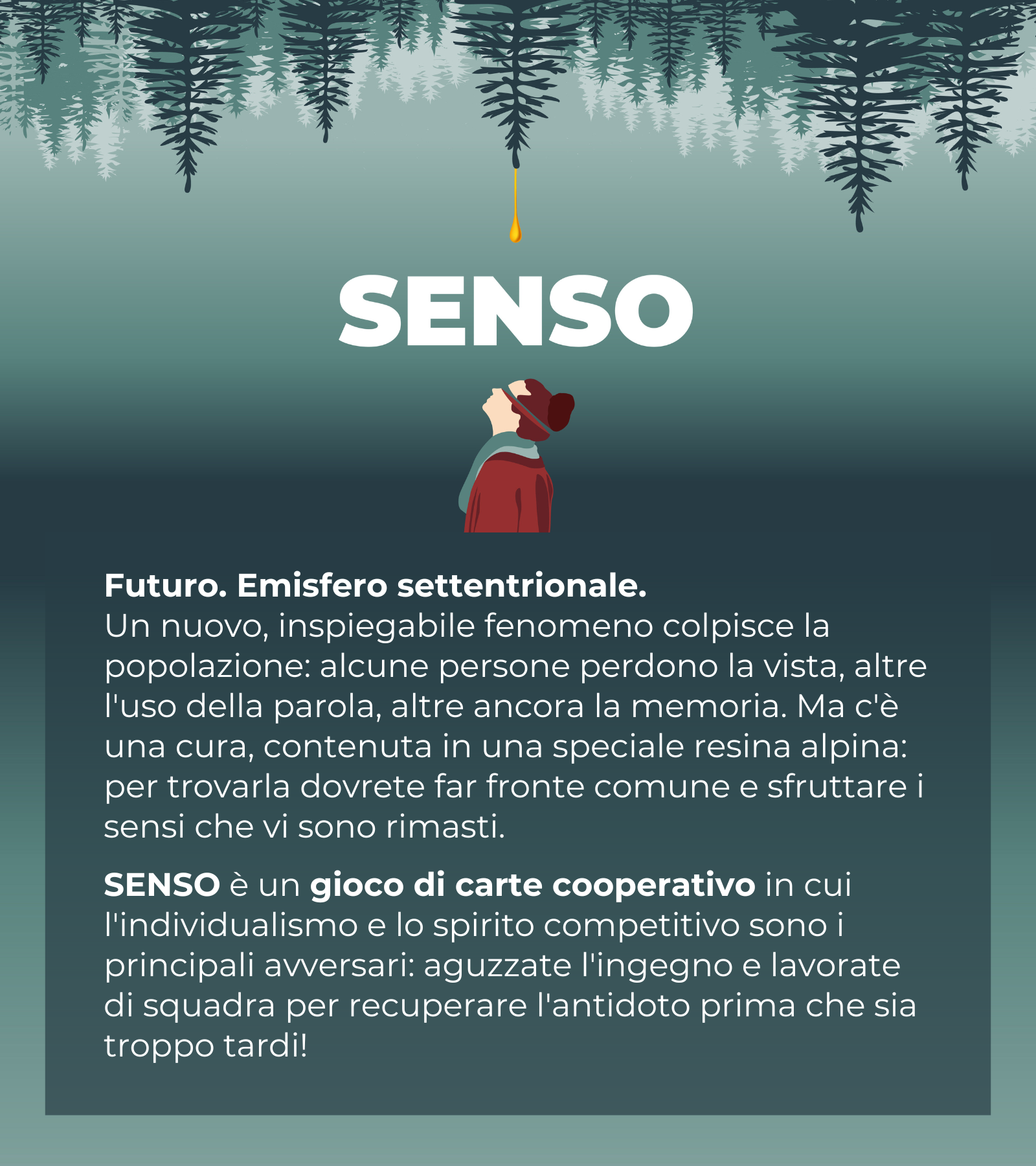 “Senso”, il gioco di carte cooperativo ambientato in Trentino, nella Val di Sole