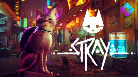 Stray, il videogioco di successo diventerà un film d’animazione