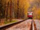 6 viaggi in treno panoramico per ammirare il foliage autunnale negli Stati Uniti