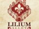 Lilium Alley: un incantevole tuffo nella Magia di Harry Potter