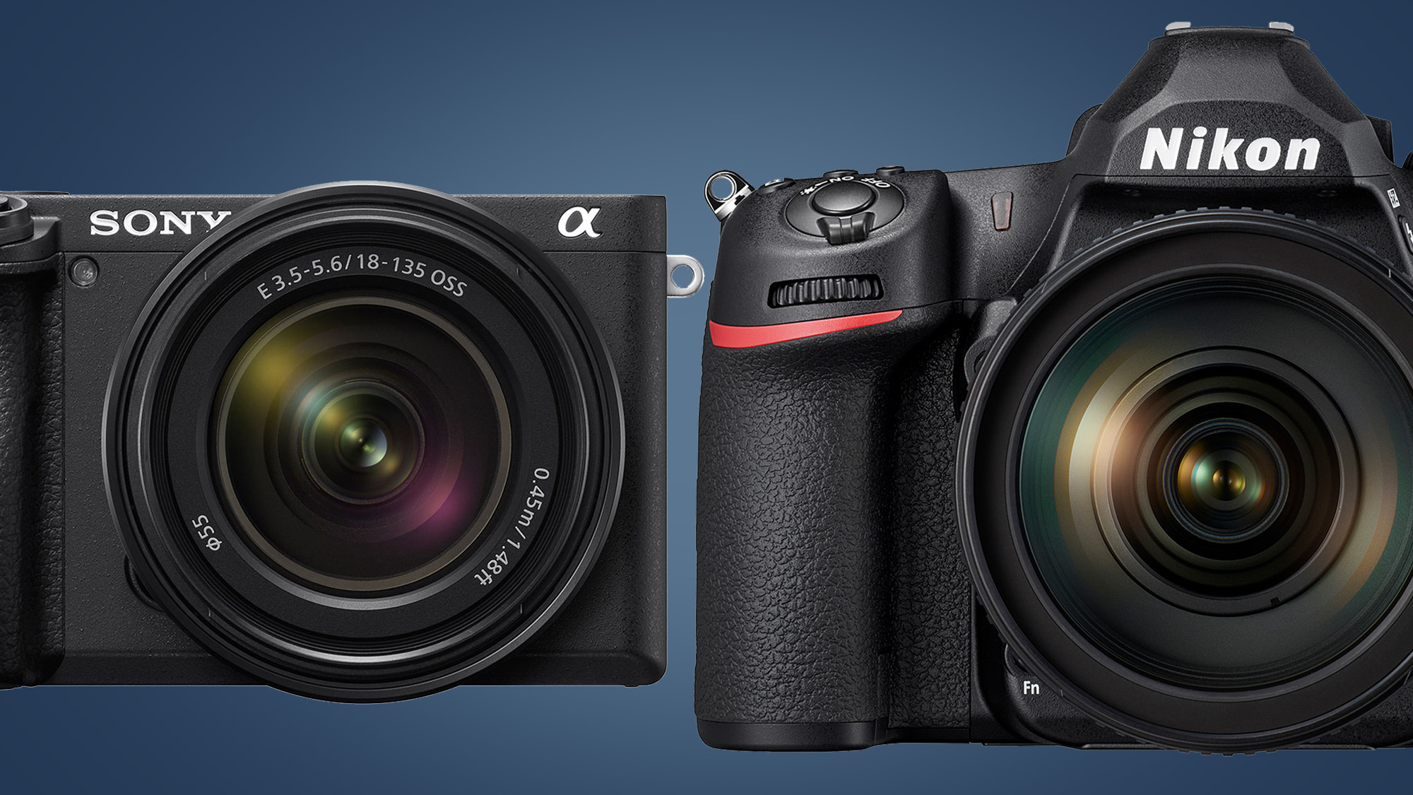 Fotocamere Reflex vs Mirrorless: quali sono le differenze?