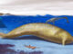 Il Perucetus colossus, il cetaceo più grande e pesante mai esistito