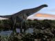 I Titanosauri: giganti preistorici che dominarono la Terra