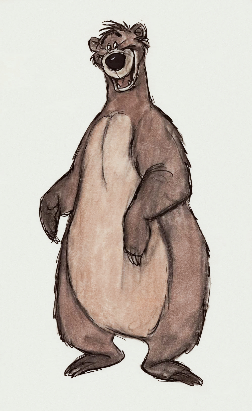 Baloo è un orso labiato: tra realtà e finzione Disney