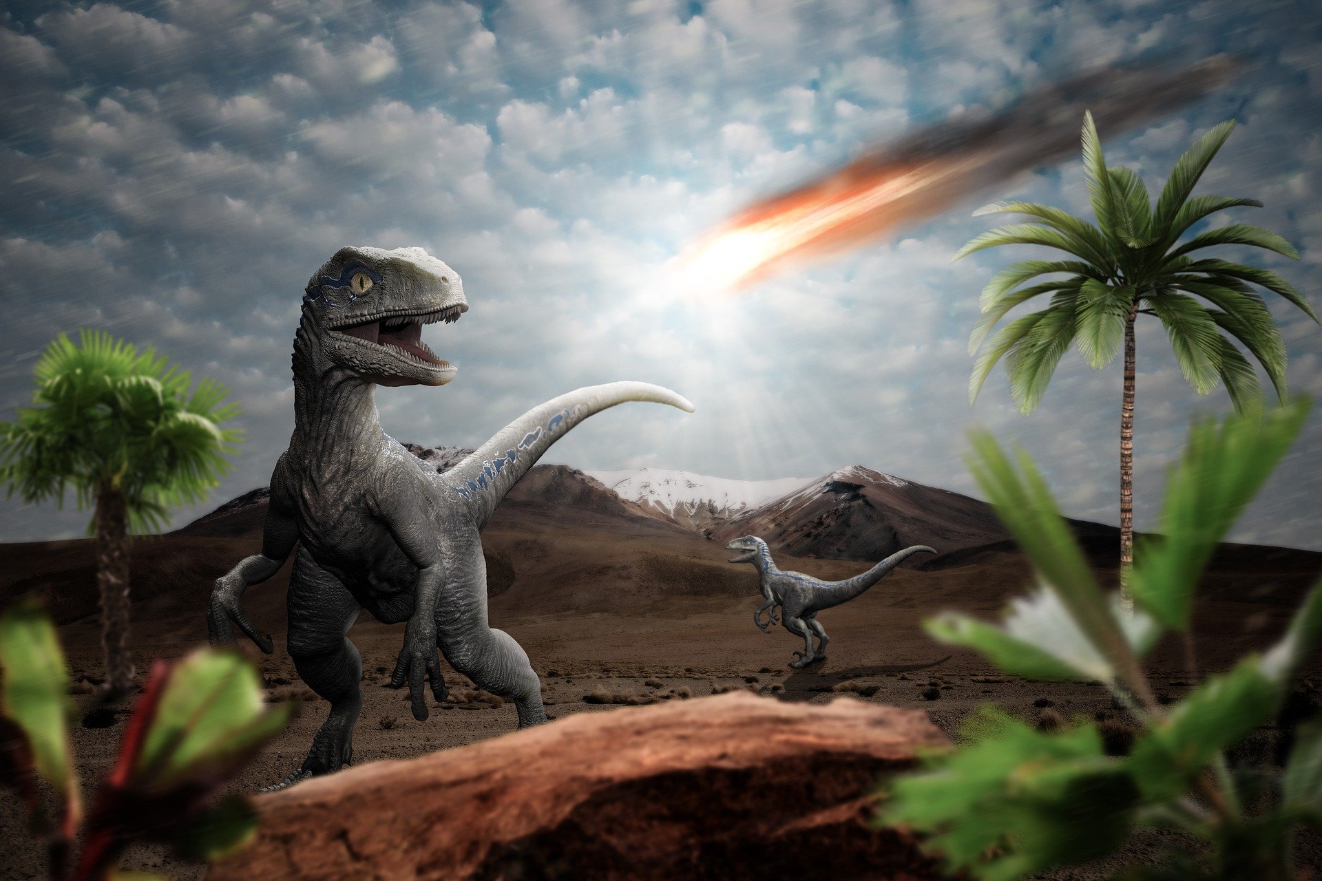 Apocalisse di fuoco e oscurità: ecco come l’asteroide ha ucciso i dinosauri