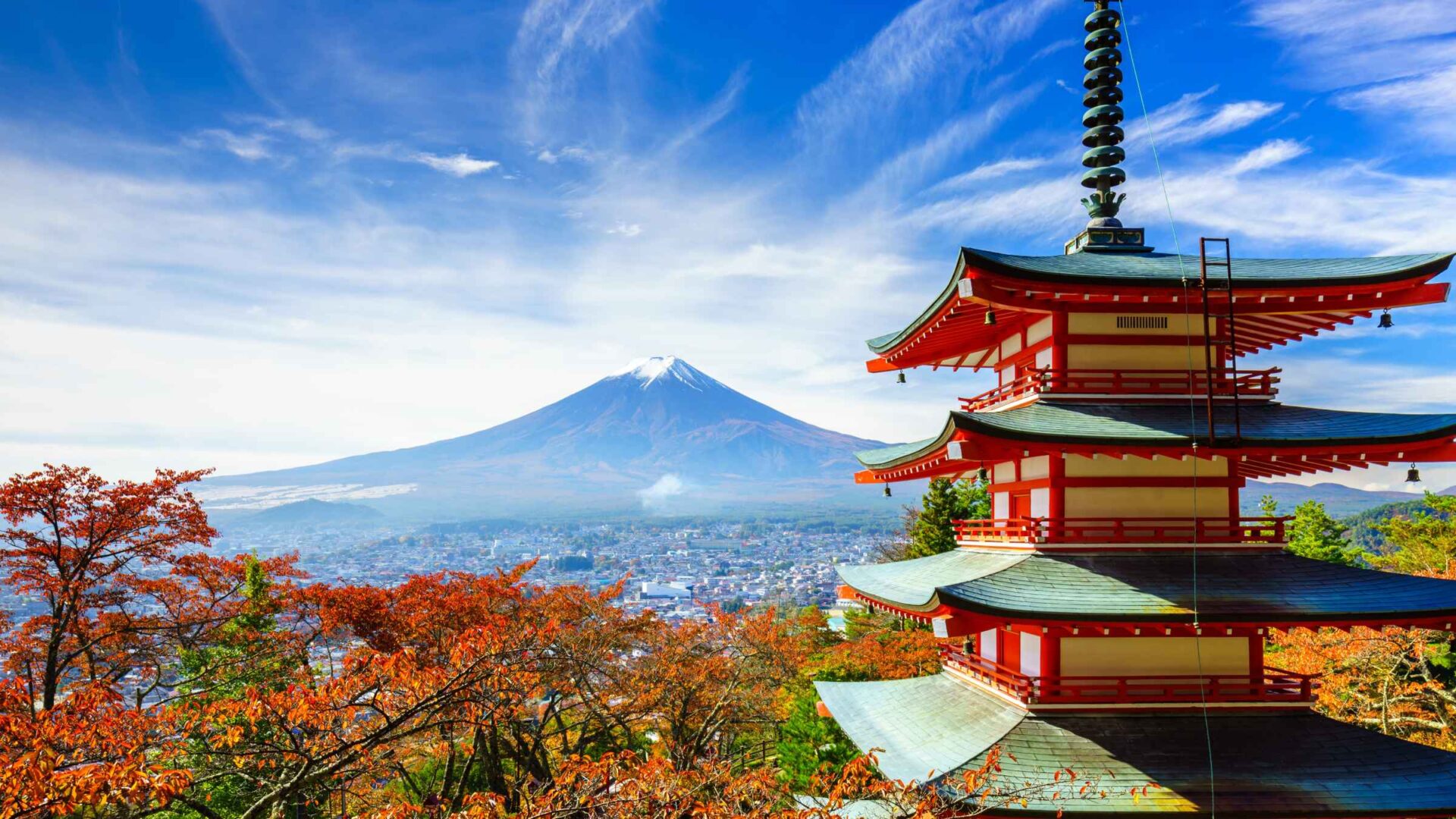 Turismo in Giappone: tra menù in inglese e lamentele sui social, un dilemma irrisolto